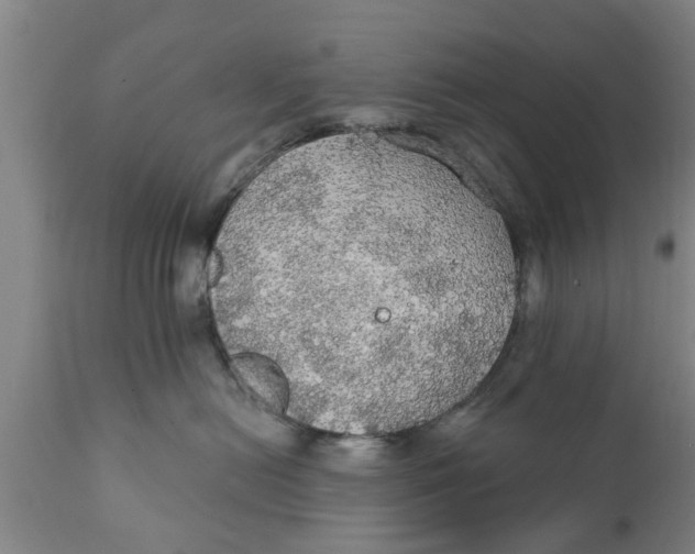 X0000111910478200908171306