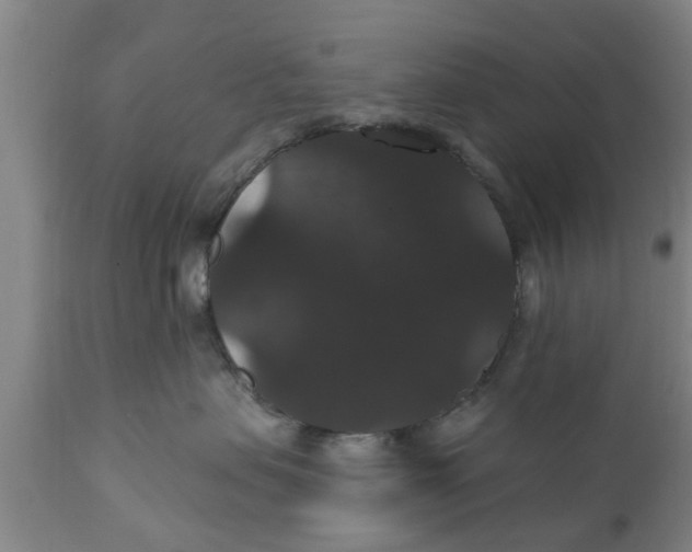 X0000111910479200908171306