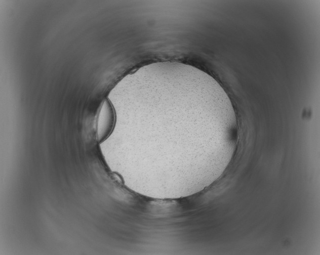 X0000111910480200908171306