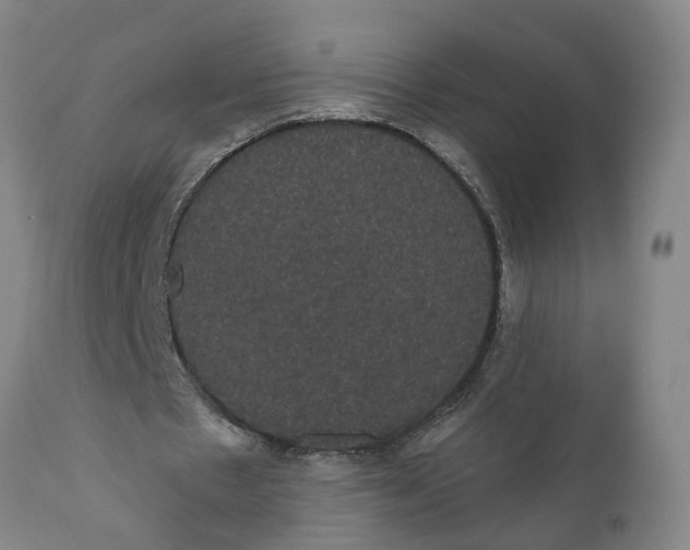 X0000111910481200908171305