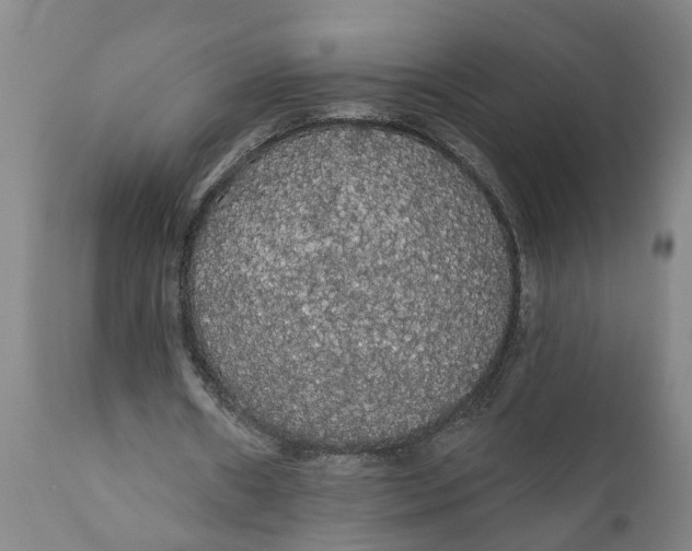 X0000111910482200908171305