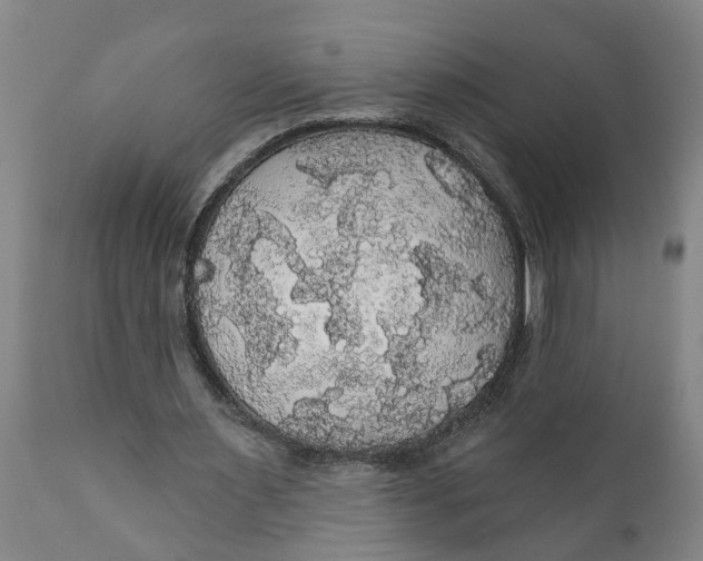 X0000111910483200908171305