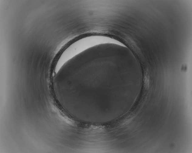X0000111910484200908171305