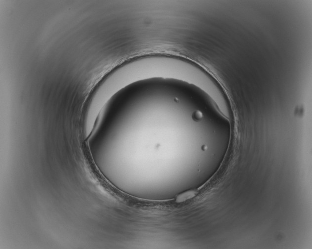 X0000111910485200908171305
