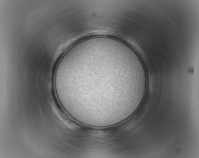 X0000111910486200908171305
