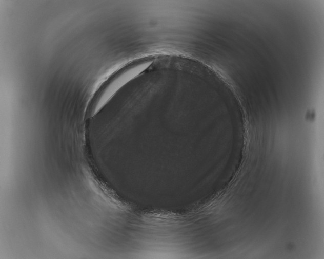 X0000111910488200908171305