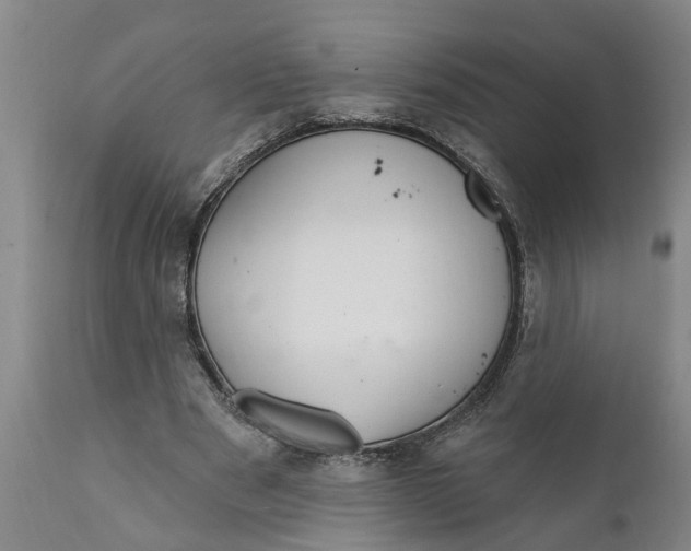 X0000111910489200908171305