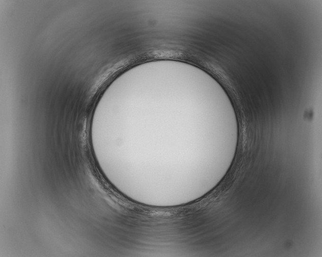 X0000111910490200908171305