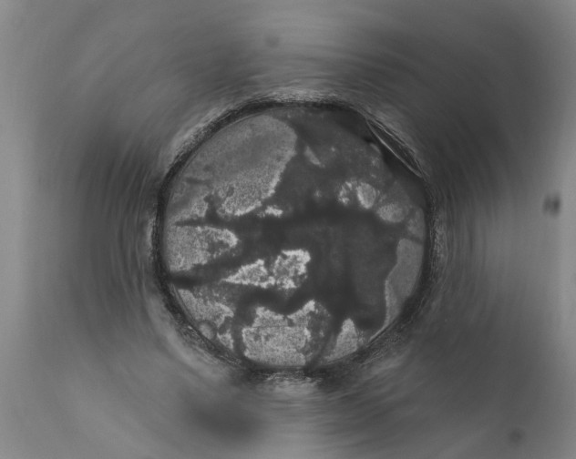 X0000111910491200908171305