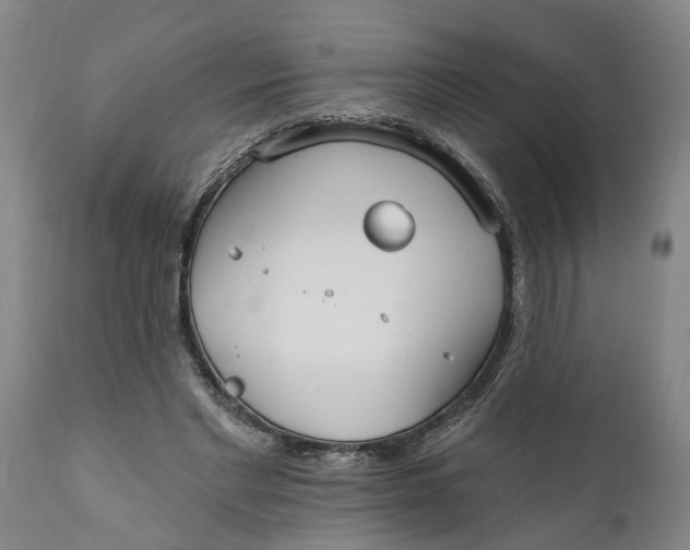 X0000111910493200908171305