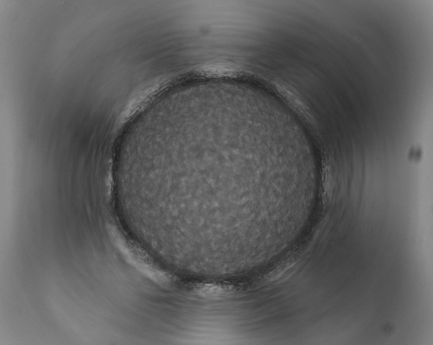 X0000111910494200908171305