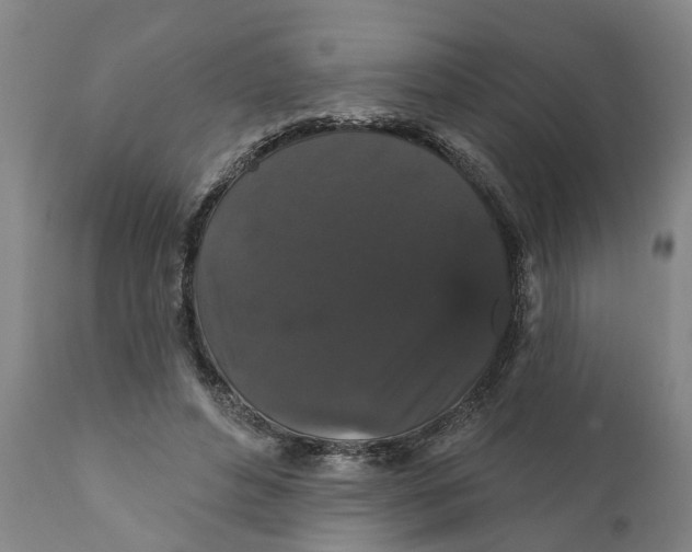 X0000111910496200908171305