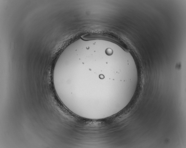 X0000111910497200908171305