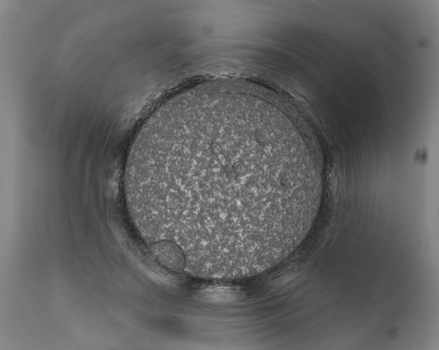X0000111910499200908171305