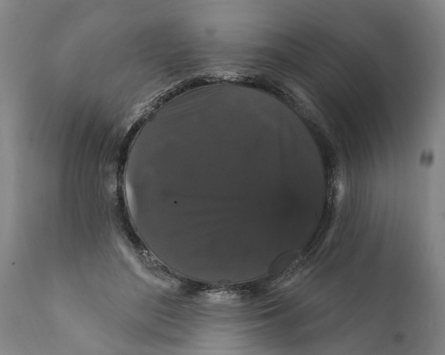 X0000111910500200908171305