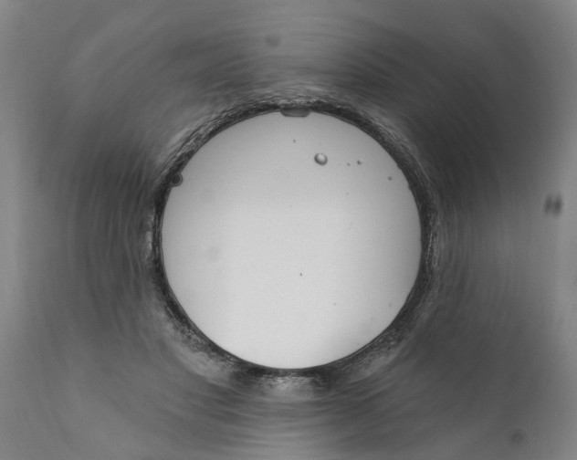 X0000111910501200908171305