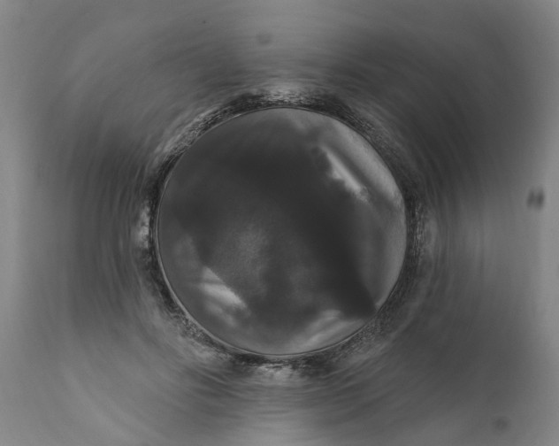 X0000111910502200908171305