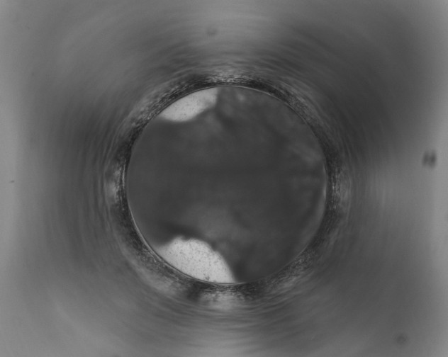 X0000111910503200908171305