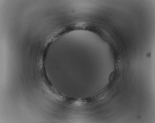X0000111910504200908171305