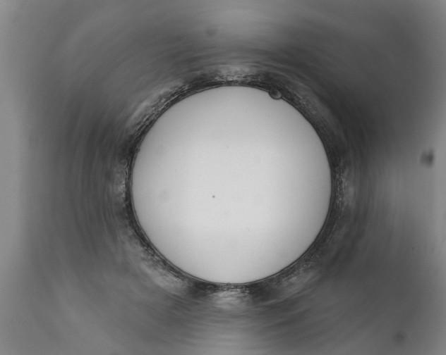 X0000111910505200908171305