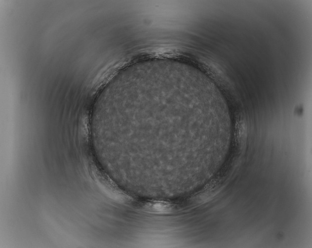 X0000111910506200908171305