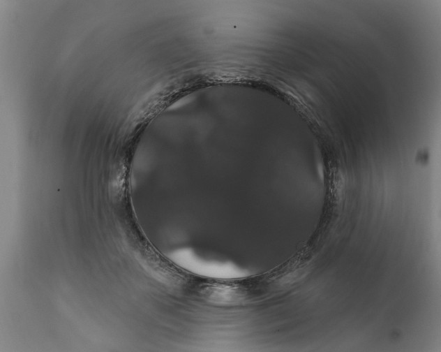 X0000111910507200908171305