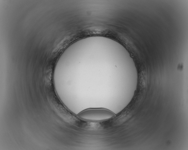 X0000111910509200908171305