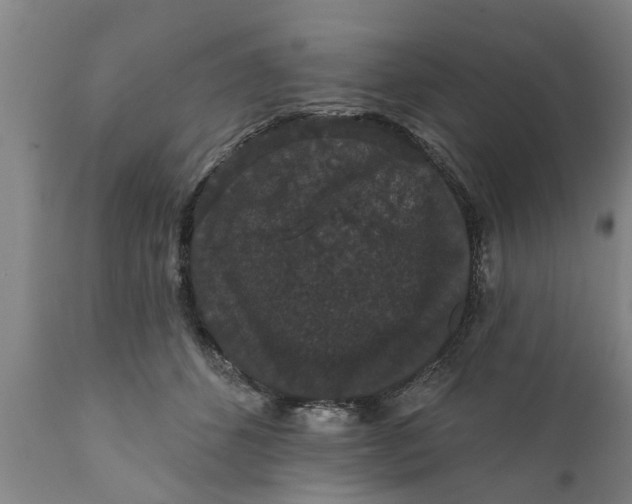 X0000111910512200908171305
