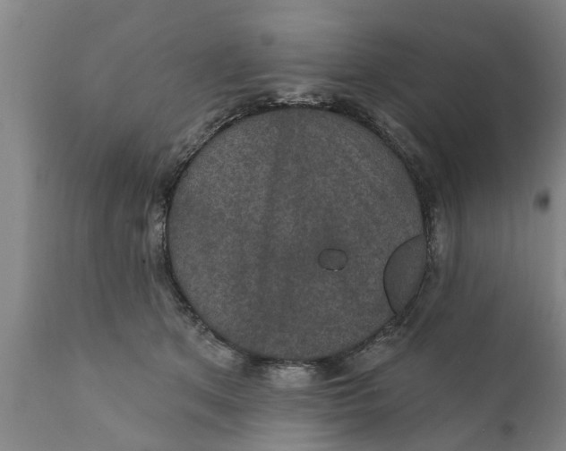 X0000111910513200908171305