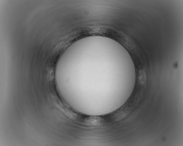 X0000111910514200908171305