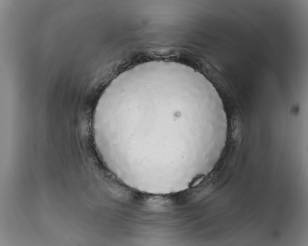 X0000111910515200908171305