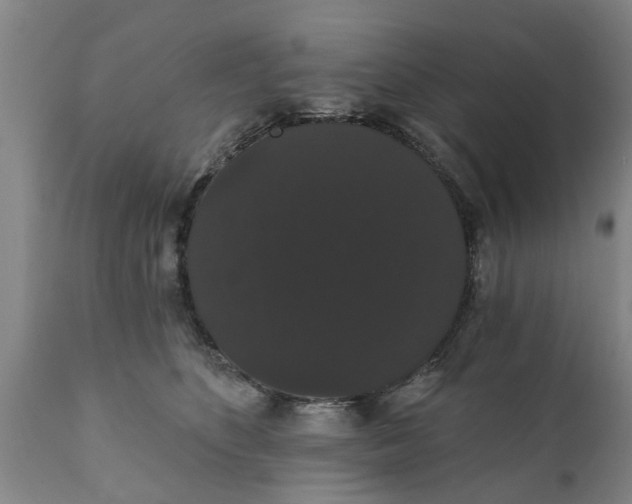 X0000111910516200908171305