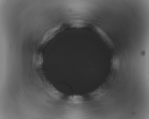 X0000111910517200908171305