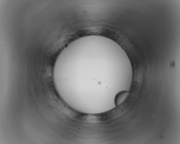 X0000111910518200908171305