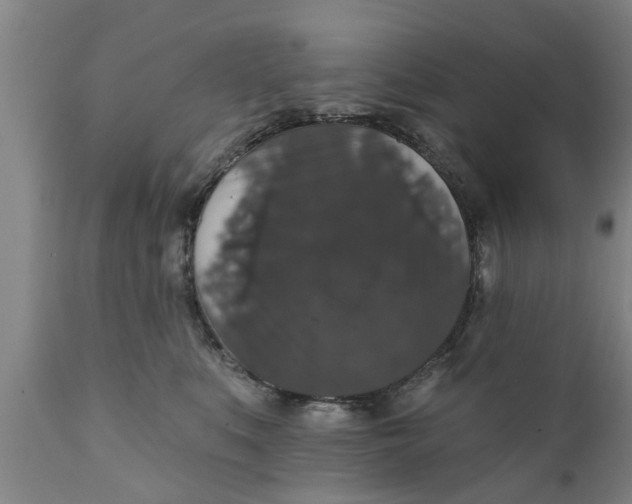X0000111910519200908171305