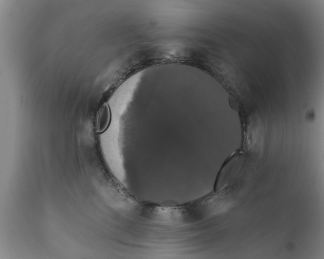 X0000111910520200908171305