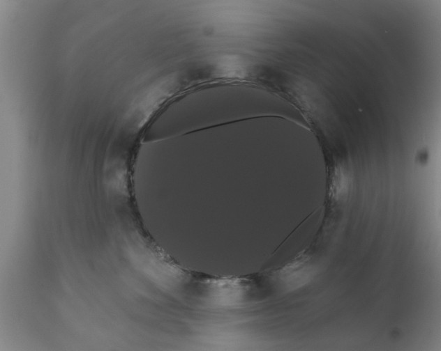 X0000111910524200908171304