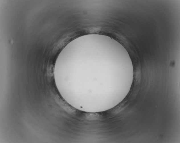 X0000111910525200908171304