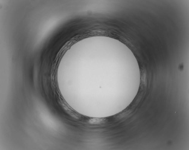 X0000111910526200908171304