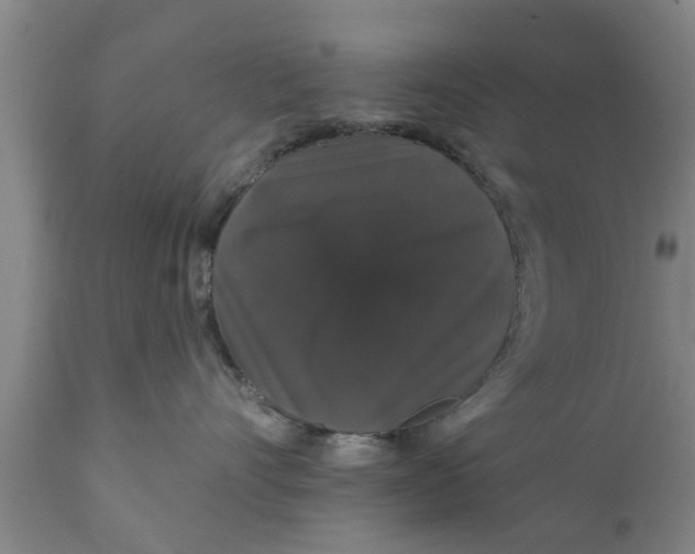 X0000111910528200908171304