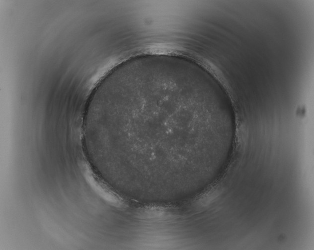 X0000111910530200908171304