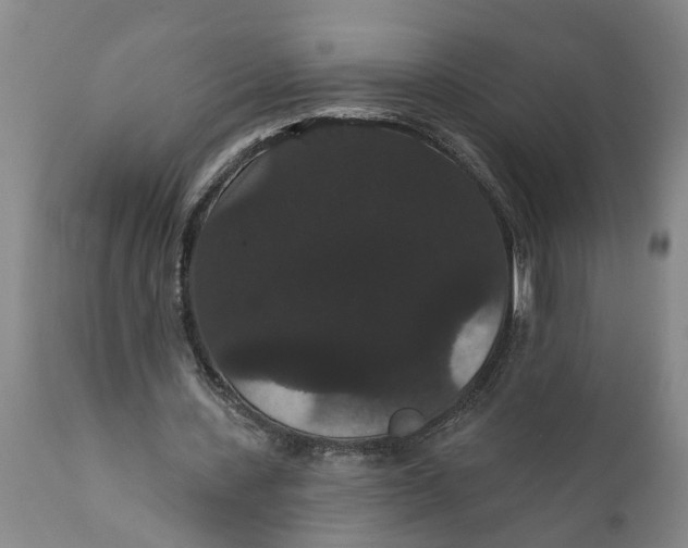 X0000111910531200908171304