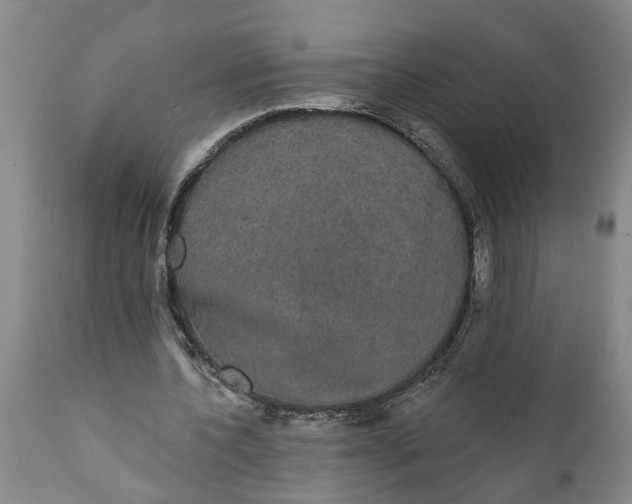 X0000111910532200908171304