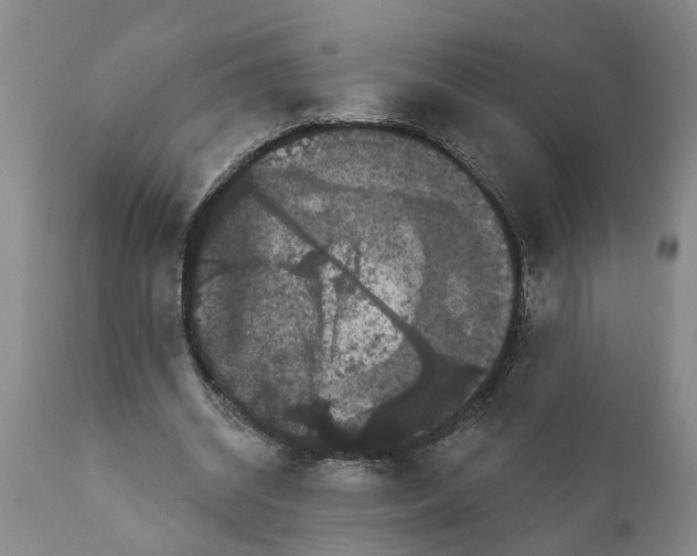 X0000111910534200908171304