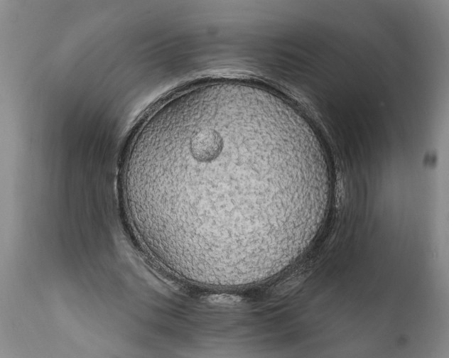 X0000111910535200908171304