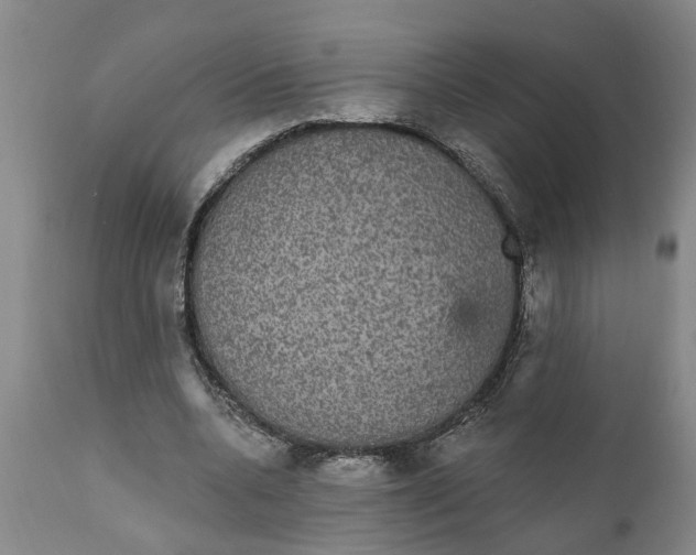 X0000111910536200908171304
