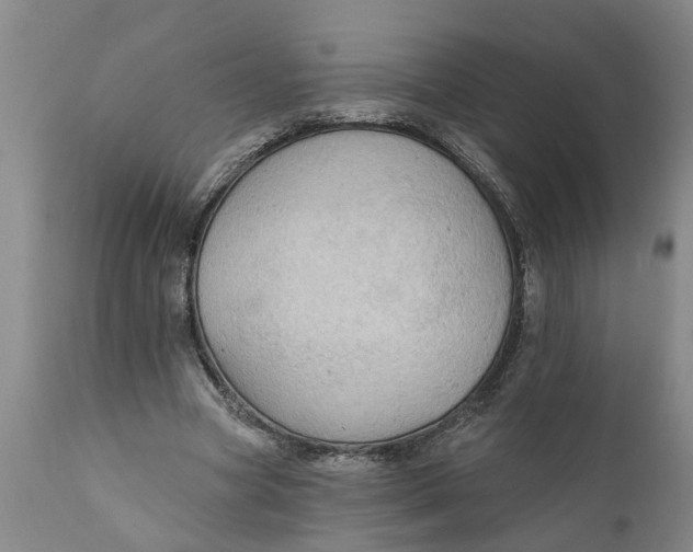 X0000111910537200908171304