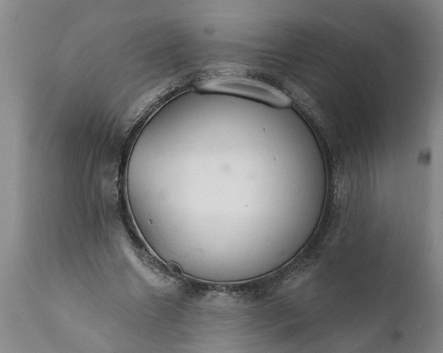 X0000111910538200908171304