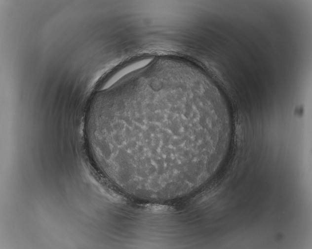 X0000111910539200908171304