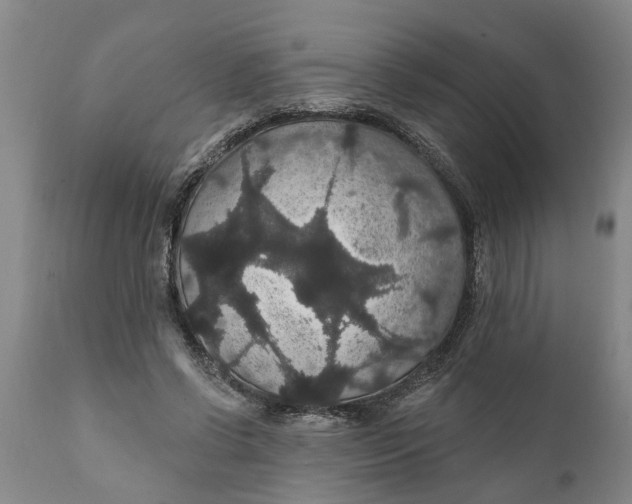 X0000111910542200908171304